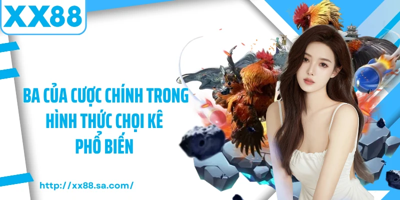 Ba của cược chính trong hình thức chọi kê phổ biến 